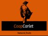 cooperativa-carlet-logo